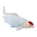 Mojo Koi Karpfen Tancho